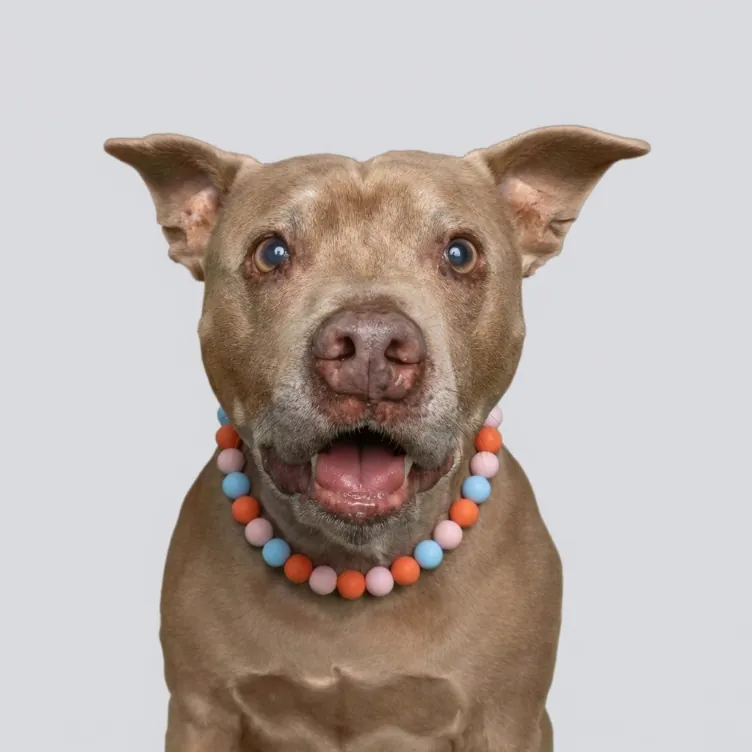 Happy Beads, figure 8